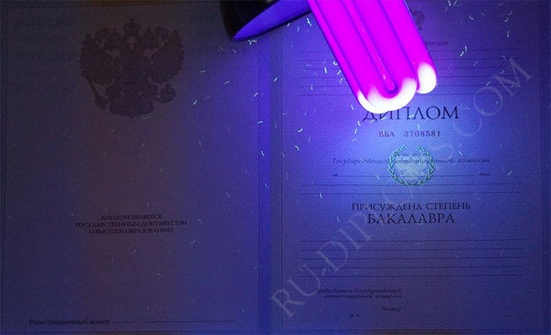 Диплом бакалавра 2004-2009 год  