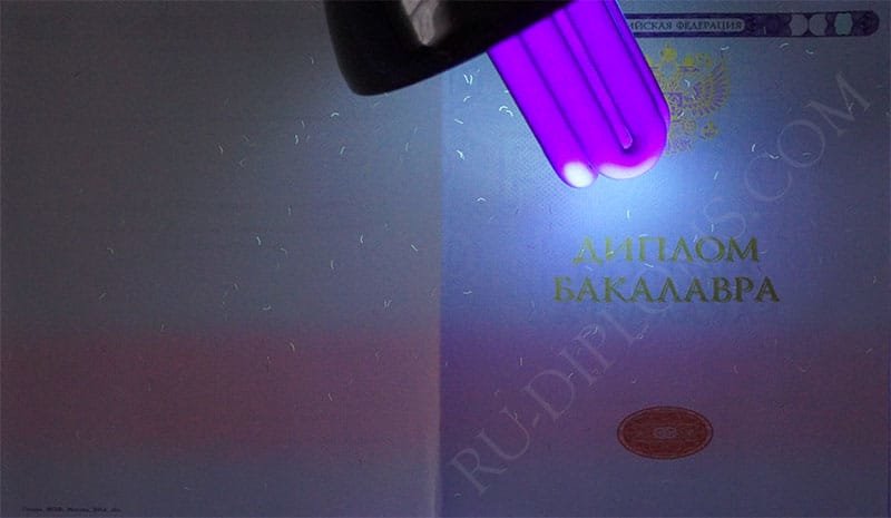 Диплом бакалавра 2014-2025 НОВОГО ОБРАЗЦА Москва